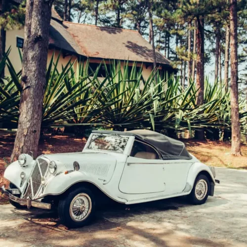 Spain - Warm atmosphere and light through pine tree with white vintage luxury classic convertible car at colonial villa