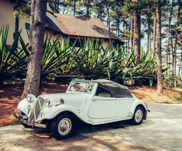 Spain - Warm atmosphere and light through pine tree with white vintage luxury classic convertible car at colonial villa