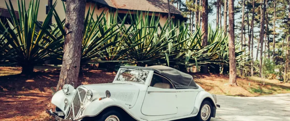 Spain - Warm atmosphere and light through pine tree with white vintage luxury classic convertible car at colonial villa